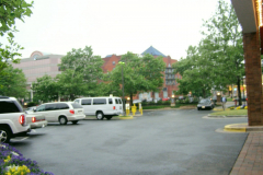 P1010026