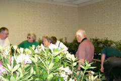 P1010041