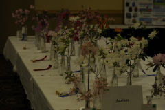 FlowerShow1
