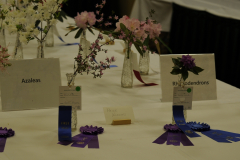FlowerShowWill2016