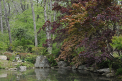 LandscapePinkhamGdn3Will2016