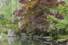 LandscapePinkhamGdn4Will2016