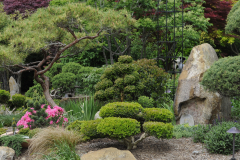 LandscapePinkhamGdn6Will2016