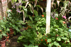 Coldframe-RG-6401