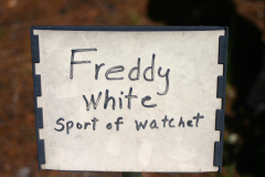 Freddy-White-Watchet-sport-6490