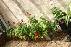Greenhouse-RG-6408