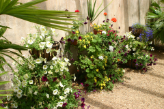 Greenhouse-RG-6409