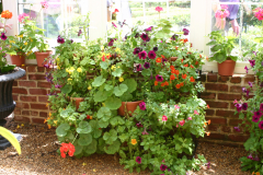 Greenhouse-RG-6410