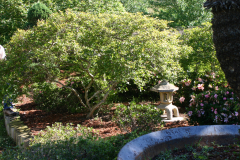 Imahara-Garden-6322