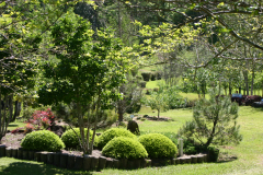 Imahara-Garden-6344