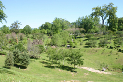 Imahara-Garden-6362