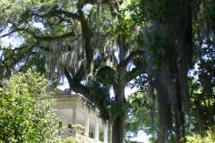Rosedown-Garden-Home-6417
