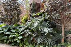 CAndrews-Botanique-IMG_2168