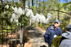 CAndrews-Callaway-IMG_2272