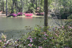 CAndrews-Callaway-IMG_2282