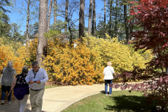 CAndrews-Greenleaf-IMG_2205