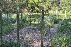 CAndrews-Rogers-IMG_2241