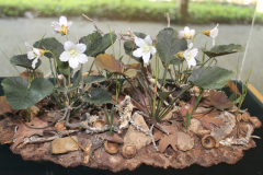 Artwork-Wild-Ginger-Painted-Trillium-in-Discovery-Cetner-@-Callaway-2024-4589