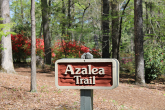 Azalea-Trail-@-Callaway-2024-4573
