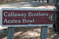 Callaway-Brothers-Azalea-Bowl-2024-4547