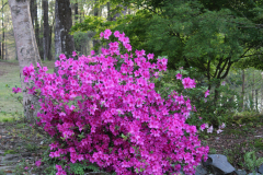Crooked-Oaks-Farm-2024-4540