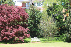Davis-Arboretum-Memory-Garden-2024-4465