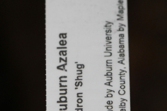 Shug-Auburn-@-Davis-Arboretum-2024-4399