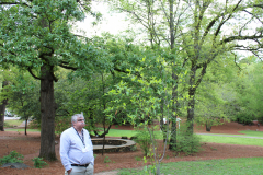 Tom-Johnson-@-Davis-Arboretum-2024-4385