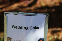 Wedding-Cake-@-Greenleaf-Garden-2024-4525