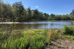 ViewFromICCMemChapel1
