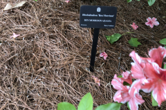 Ben-Morrison-USDA-@State-Botanical-Gard-of-GA_0090