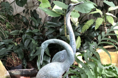 Conservatory-Pond-@State-Botanical-Gard-of-GA_0100