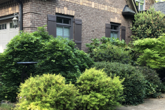 Dirr-Garden_0124