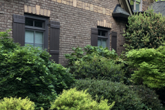 Dirr-Garden_0125
