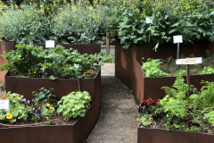Edible-Garden-@State-Botanical-Garden-of-GA_0079