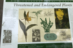 Endangered-Plant-Garden-@-State-Botanical-Gard-of-GA-E_0075