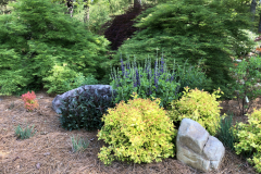 Floyd-Garden_0169