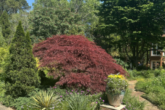 Giberson-Garden_1903