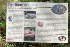 Heirloom-Annual-Garden-@ASA-Convention-@State-Botanical-Gard-of-GA_0071