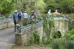 Kathy-Jentz-@State-Botanical-Garden-of-GA_1848
