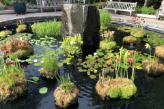 State-Botanical-Gard-of-GA_0065