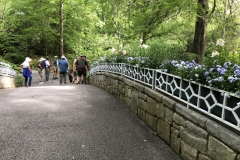 State-Botanical-Garden-of-GA_0078