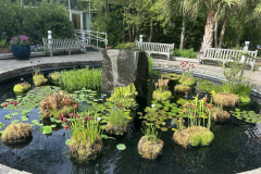 State-Botanical-Garden-of-GA_1839
