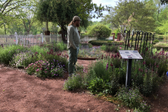 Tour-Guide-@State-Botanical-Gard-of-GA_0070