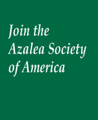Join the ASA