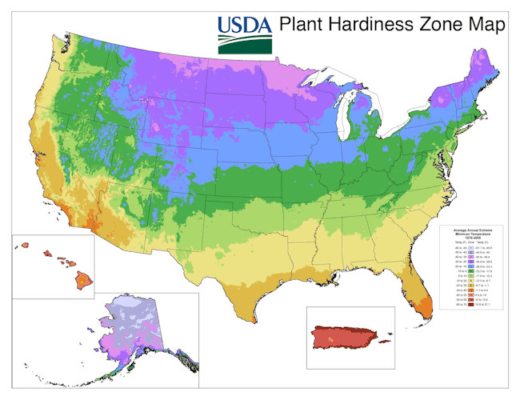 USDA Hardiness map