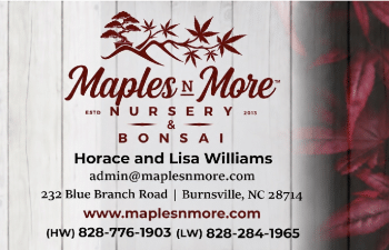 Maplesnmore