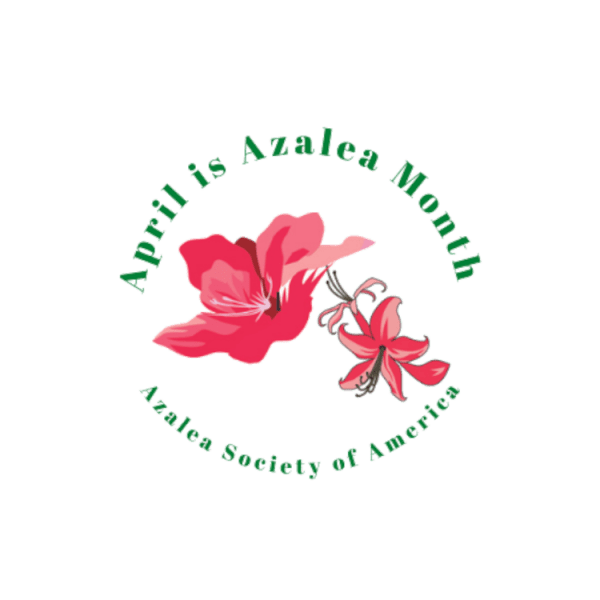 April Azalea Script April is Azalea Month - Azalea Society of America