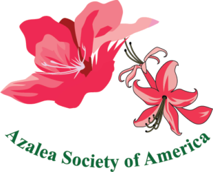 Azalea Society of America logo